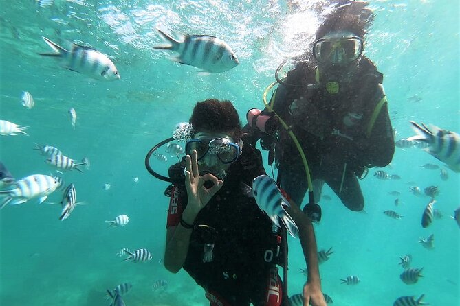 Discover Scuba Diving in Mauritius - Key Highlights You Should Care About