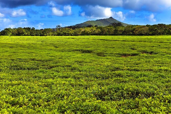 Discover the East of Mauritius: Full-day All-inclusive tour (Visit to 3 parks) - Key highlights worth your time