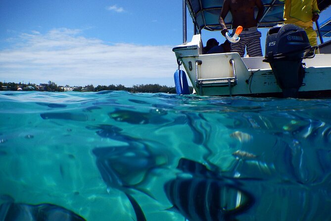 Discover the East of Mauritius: Full-day All-inclusive tour (Visit to 3 parks) - The East Mauritius “variety day” that makes sense