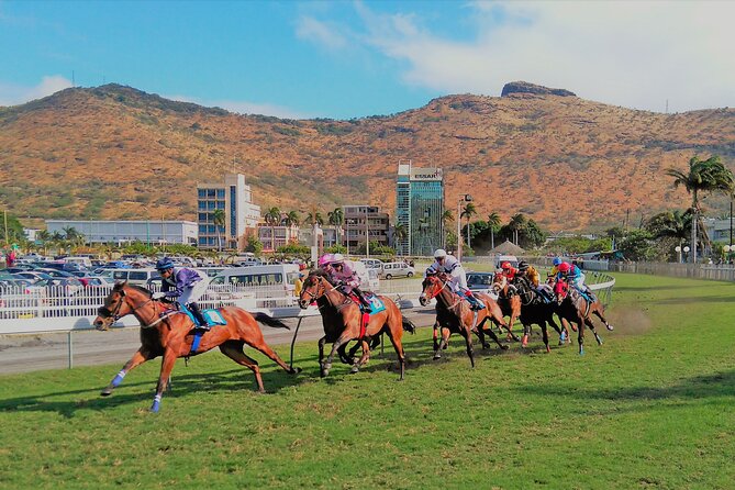 Discovering the North of Mauritius: Full-day incl Botanical garden & lunch - Stop 4: Citadelle (Fort Adelaide) and a 360-degree Port Louis photo moment