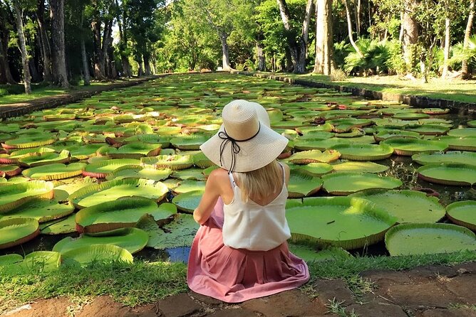 Discovering the North of Mauritius: Full-day incl Botanical garden & lunch - Lunch at the local restaurant: what you should expect