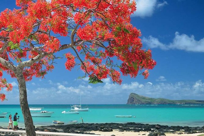 Discovering the North of Mauritius: Full-day incl Botanical garden & lunch - Stop 1: Port Louis warm-up, including a quick view of the city rhythm