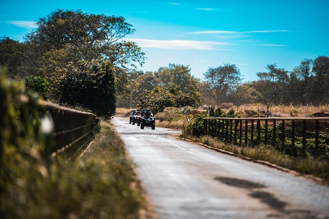 Discovery Tour 35km - Gear, pace, and the small-group advantage with Big Foot Adventure