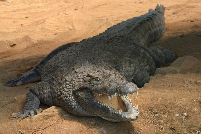 Discovery Tour 35km - Price and value: is $267.52 per person a fair deal?