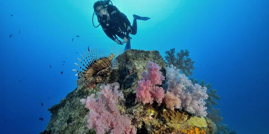 Diving in the North with Blue World Adventures - The north coast of Mauritius is a smart place to start