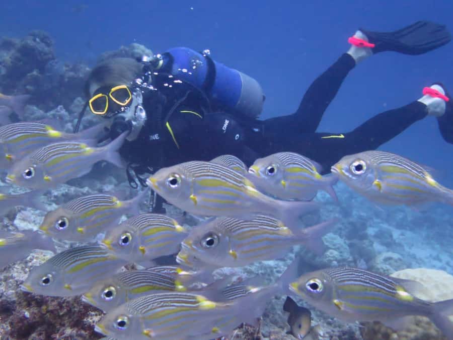 Diving in the North with Blue World Adventures - What to bring (and what to leave at home)