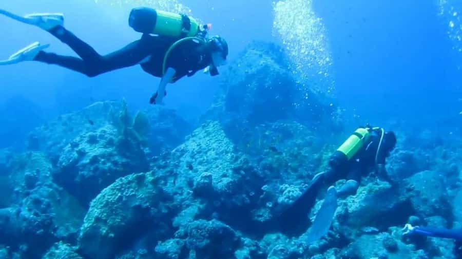 Diving in the North with Blue World Adventures - What happens at Le Méridien Ile Maurice (and why it matters)