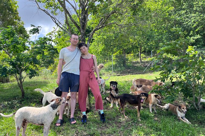 Dog Lover's guided tour of the Happy Tails Sanctuary - Happy Tails Sanctuary in Baie du Cap: what your visit really supports