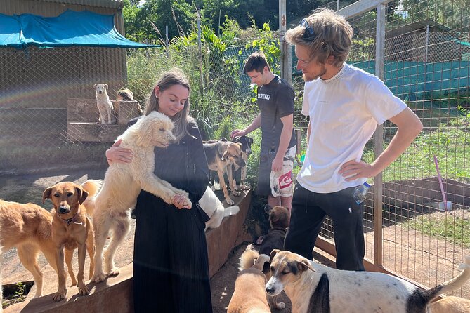 Dog Lover's guided tour of the Happy Tails Sanctuary - Stop at Happy Tails Sanctuary: meeting the dogs, not just the idea
