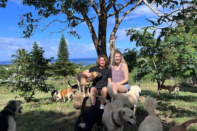 Dog Lover's guided tour of the Happy Tails Sanctuary - The 2-hour plan starting at 12:00 pm: how the guided visit flows