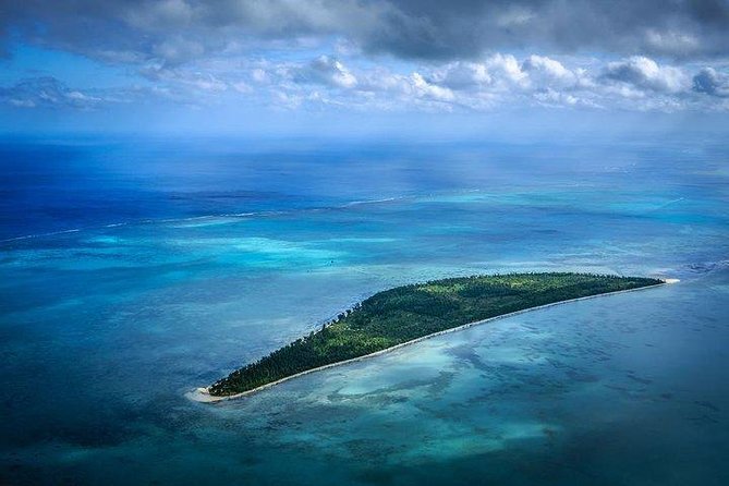 Dolphin Encounters, Ile aux Benitier & Crystal rock: Full-Day (Lunch & Transfer) - A 7:00am Start That Sets Up Your Dolphin Chances
