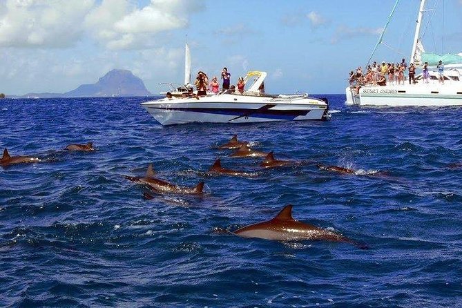 Dolphin Encounters, Ile aux Benitier & Crystal rock: Full-Day (Lunch & Transfer) - Ile aux Benitiers: BBQ Lunch, Beach Time, and a Few Reality Checks