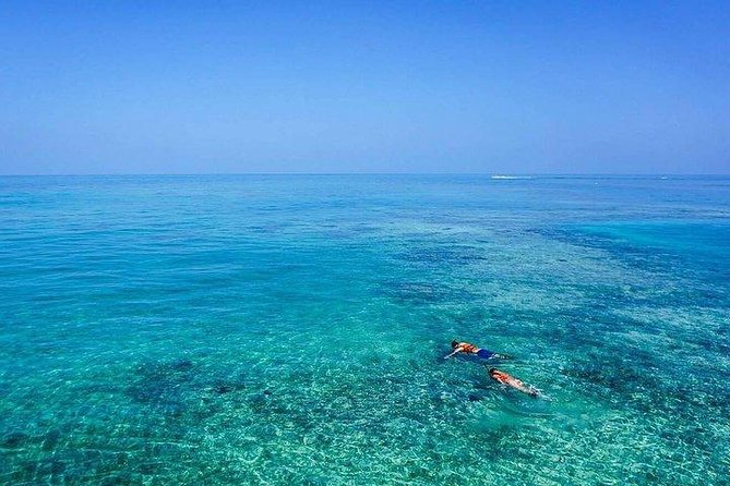 Dolphin Encounters, Ile aux Benitier & Crystal rock: Full-Day (Lunch & Transfer) - Price and Value at $111.96: What You’re Really Paying For