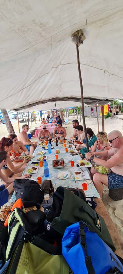Dolphins: Private, Snorkel, CrystalRock, ileoBenitiers,lunch - Snorkeling in a Natural Aquarium: More Than Just Gear