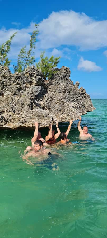 Dolphins: Private, Snorkel, CrystalRock, ileoBenitiers,lunch - Choosing Your Departure Beach: Tamarin vs La Preneuse