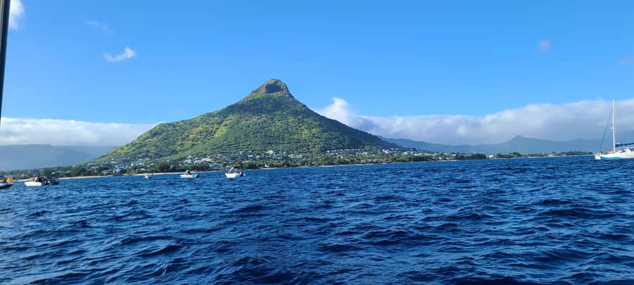 Dolphins & Whales, Private Tour Snorkeling - Whale watching with space and strong sightlines