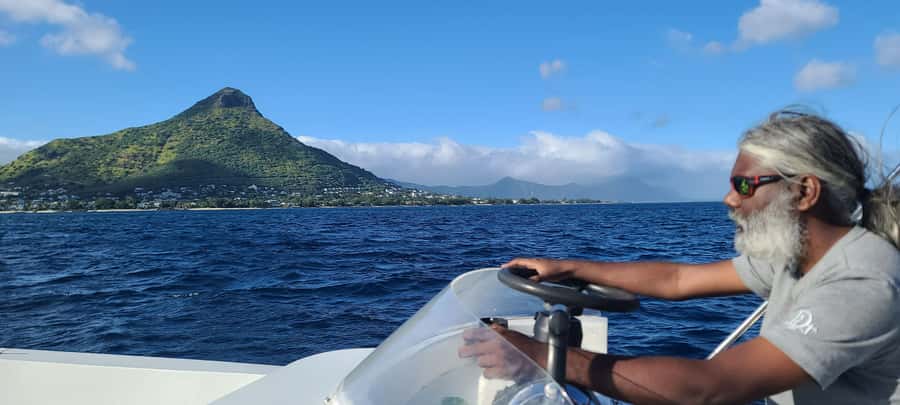 Dolphins & Whales, Private Tour Snorkeling - Included essentials: guide, snorkeling time, and drinks