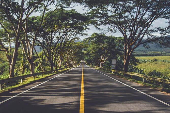 East of Mauritius: Full Day Scenic Tour with Lunch & Glass Bottom - Beau Vallon and the Mahebourg market: shopping with a local feel