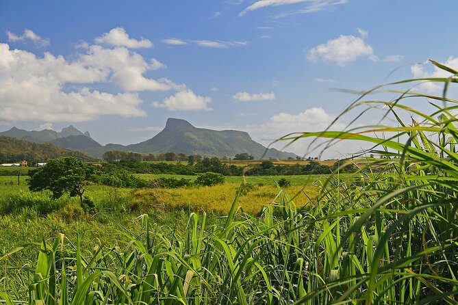 East of Mauritius: Full Day Scenic Tour with Lunch & Glass Bottom - A local village and a scenic nature-reserve road