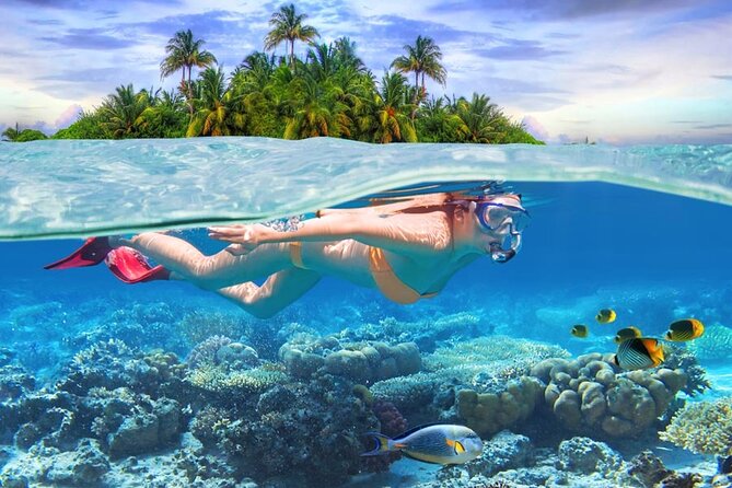 Eastern Treasures of Mauritius: incl Rhumerie St Aubin & Blue-Bay Marine Park - Blue Bay Marine Park: glass-bottom viewing plus snorkeling (and time to manage)