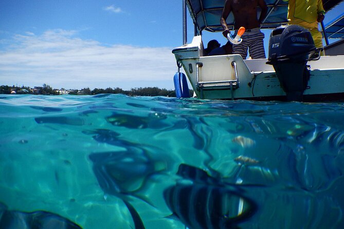 Eastern Treasures of Mauritius: incl Rhumerie St Aubin & Blue-Bay Marine Park - Mahebourg Museum and lunch: naval artifacts, shipwreck reminders, and a 3-course break