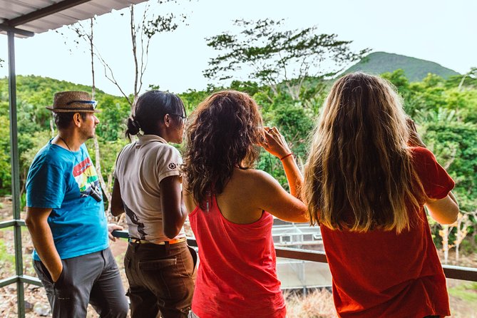 Ebony Forest Reserve Chamarel: Endemic Birdwatching Guided Tour - Key Highlights You Should Care About