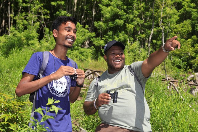 Ebony Forest Reserve Chamarel: Endemic Birdwatching Guided Tour - Why Ebony Forest Reserve Chamarel is a top birdwatching stop