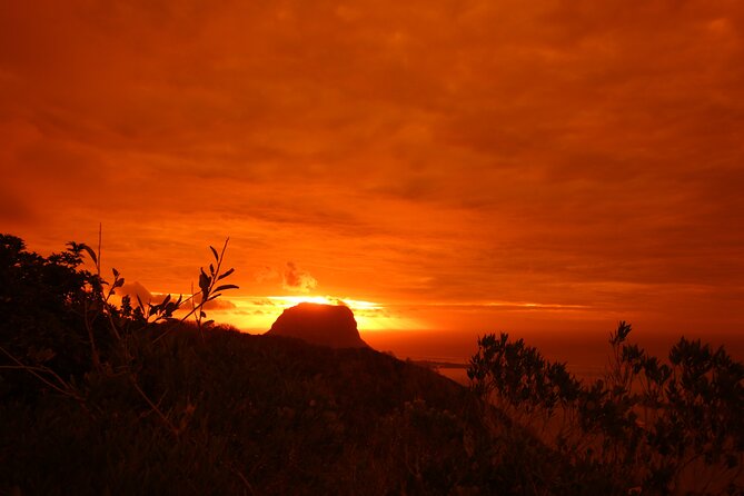 Ebony Forest Reserve Chamarel: Sublime Sundowner - The raised walkway through ebony forest: slow steps, great payoff