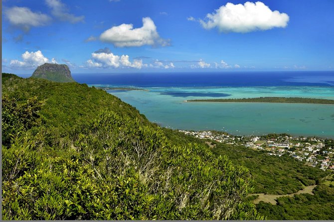 Ebony Forest Reserve Chamarel - Take a Hike Tour - Ebony Forest Reserve Chamarel: why this hike feels different