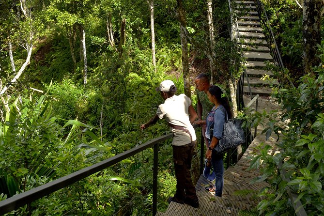 Ebony Forest Reserve Chamarel - Take a Hike Tour - Open-air jeep rides: useful when routes are spread out