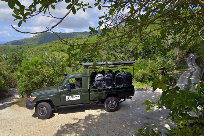 Ebony Forest Reserve Chamarel - Take a Hike Tour - The museum: what you learn between forest stops