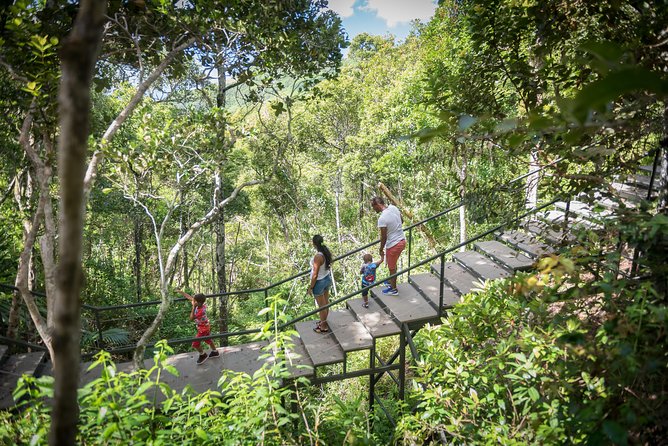 Ebony Forest Reserve Chamarel - Take a Hike Tour - Sublime Point ridgeline trail: short distance, big payoff
