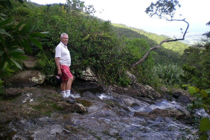 Enchanting South of Mauritius: Full-day tour Incl CASELA Park, Lunch & Transfer - Key things I’d plan around before you go