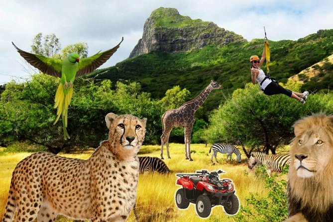 Enchanting South of Mauritius: Full-day tour Incl CASELA Park, Lunch & Transfer - Alexandra Falls and the gorge viewpoints for ocean drama