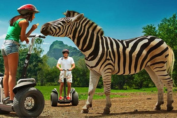 Enchanting South of Mauritius: Full-day tour Incl CASELA Park, Lunch & Transfer - Casela Nature Parks: safari truck, animal encounters, and the coaster ride