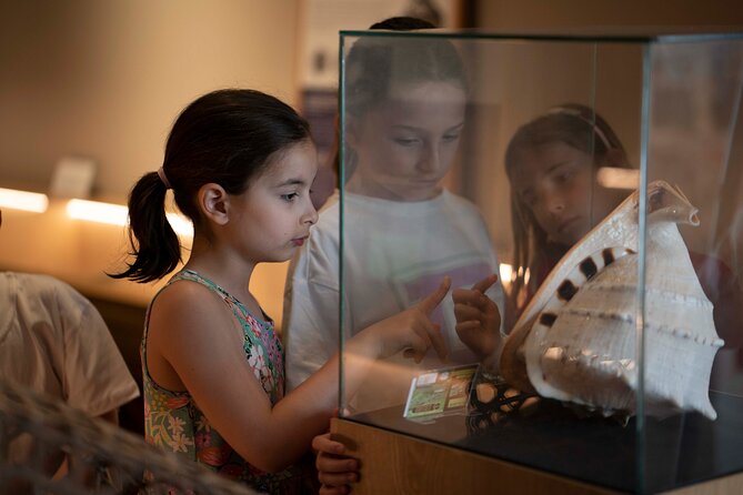Entrance Ticket to World of Seashells museum - Entering the museum: the 8,000-shell collection experience
