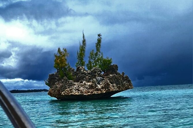 Exciting Dolphin encounters in the Maurtius's lagoon - Key highlights worth knowing