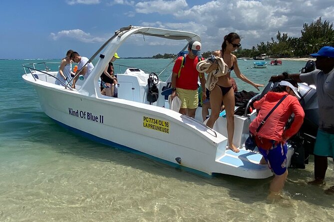 Exciting Dolphin encounters in the Maurtius's lagoon - Weather, Permit Reality, and Why It Can Feel Busy