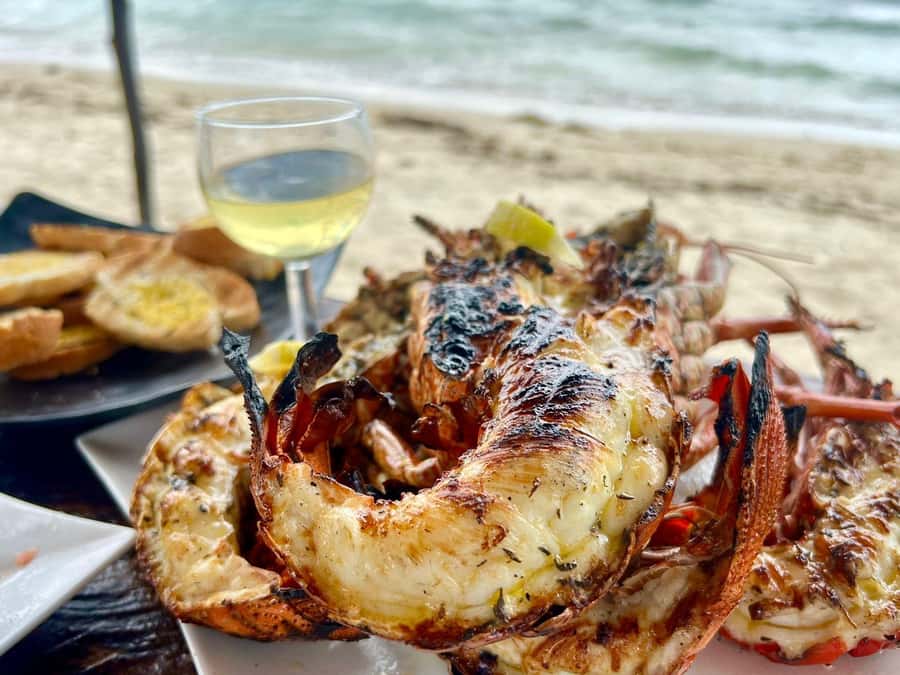 Exclusive:full-day/Dolphins watch& swimming Crystal Rock+Bbq - Getting on the water: what’s provided and what you should bring