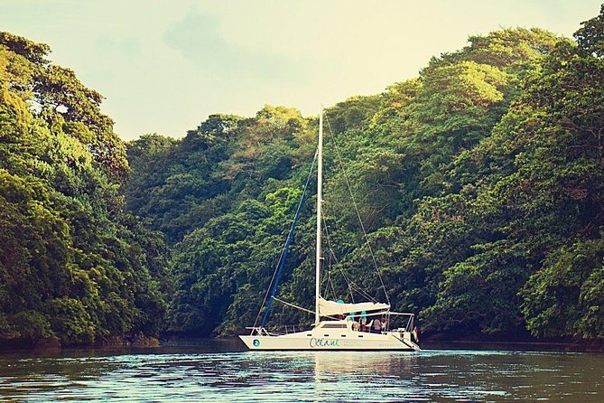 Exclusive Private Catamaran Adventure: Ile aux Cerf (Full Day Cruise incl Lunch) - Grand River South East Waterfalls: Wildlife Odds and the Short Speedboat Jump