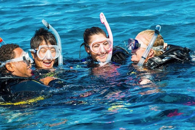 Exploration dives - Entering the Blue World in Mauritius, With a Real Scuba Focus