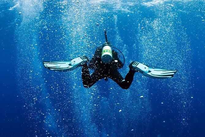 Exploration dives - Small-Group Logistics That Keep the Day Relaxed