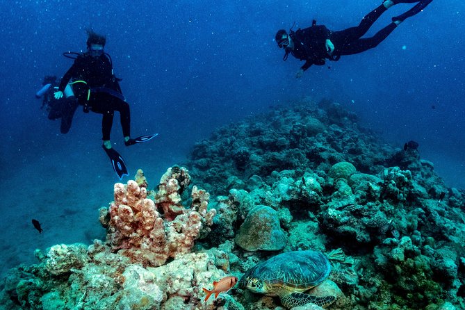 Exploration dives for experienced divers - Key highlights