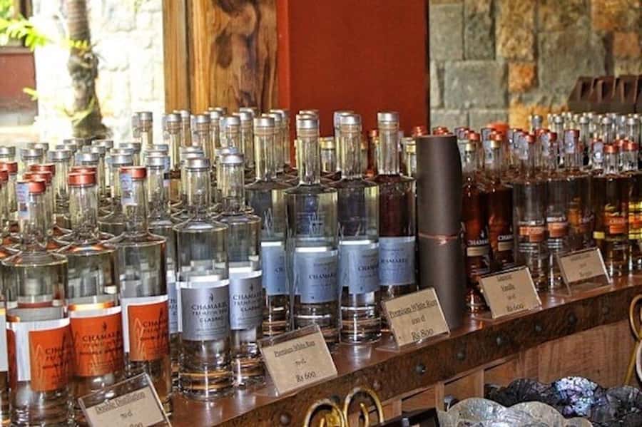 Explore the Southwest with Local Lunch & Rum Tasting - Grand Bassin Sacred Lake and Shiva Temples