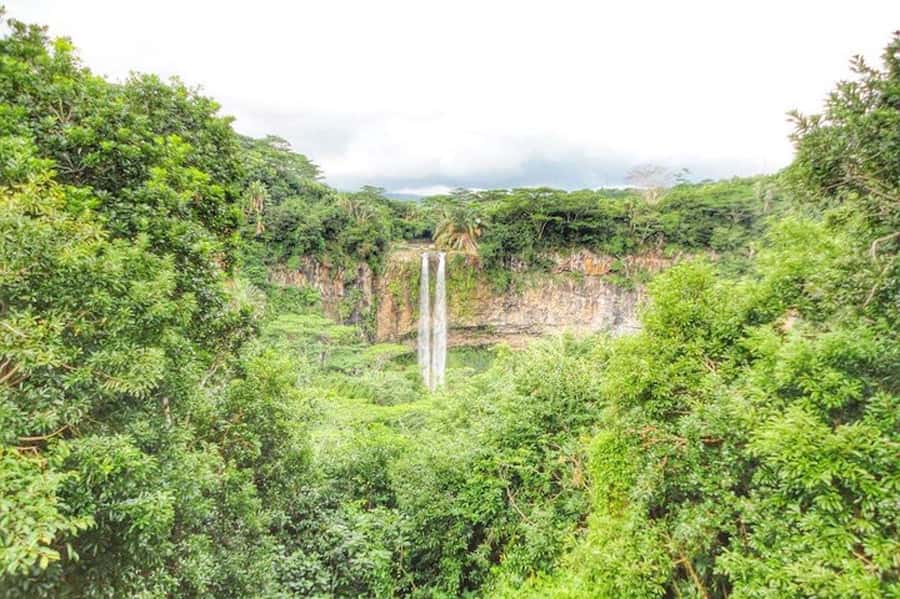 Explore the Southwest with Local Lunch & Rum Tasting - 3-Course Mauritian Lunch: What You Actually Gain