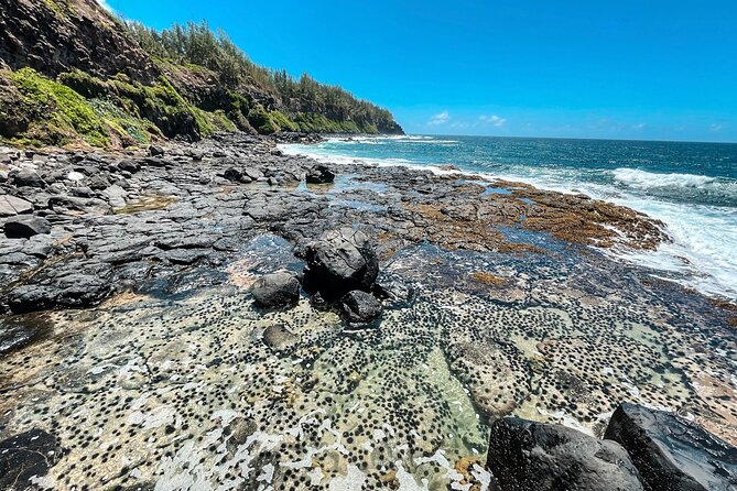 Explore The Wild South - La Roche Qui Pleure rock formations and why the geology matters