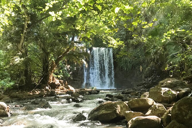 Explore The Wild South - Cascade Mamzelle and natural pools, where the water time is the reward