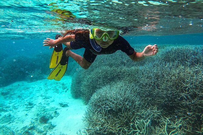 Exploring the Magnificent East of Mauritius: Full-day incl Blue Bay Marine Park - Key Highlights Worth Your Time