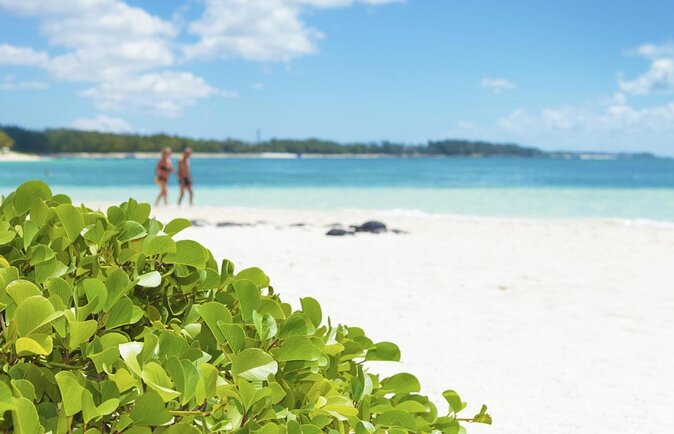Exploring the Magnificent East of Mauritius: Full-day incl Blue Bay Marine Park - East Mauritius, Not the Usual Run: Why This Day Tour Works