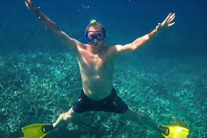 Exploring the Magnificent East of Mauritius: Full-day incl Blue Bay Marine Park - Bazar Street and the Mahebourg Market: Culture, Bargains, and Snacks